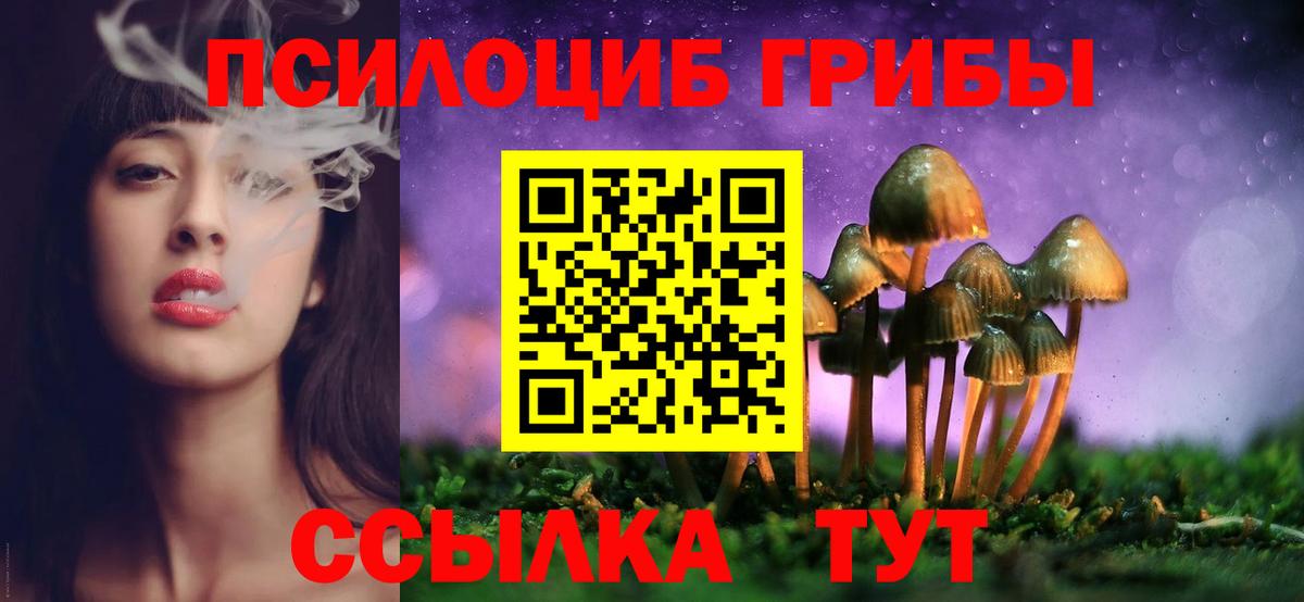 Галлюциногенные грибы Psilocybine cubensis  Вход с VPN  что такое   Ступино 