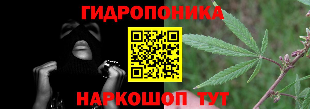 Конопля White Widow  Вход с VPN  МАРИХУАНА AK-47  Ступино  Конопля AK-47 